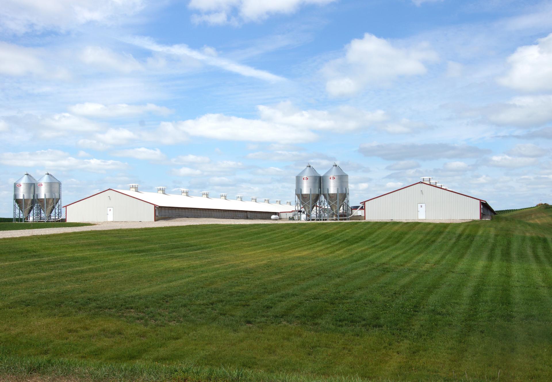 Hog Buildings