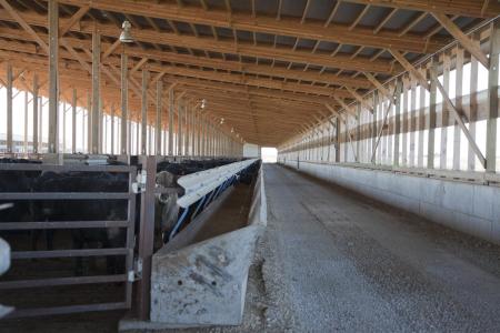 Sievert's Cattle Barn - Interior