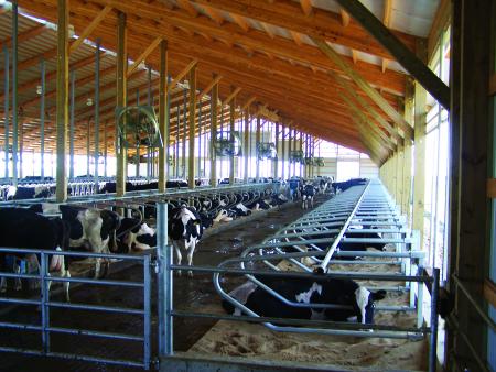 Koester Dairy