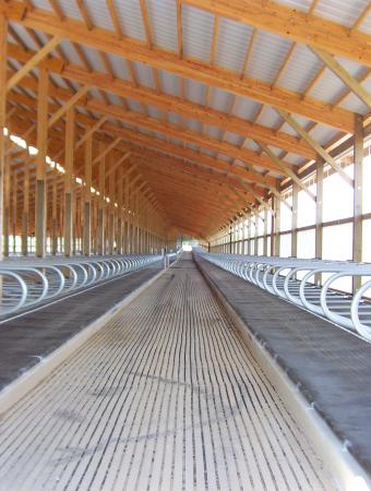 Inside View of Barn