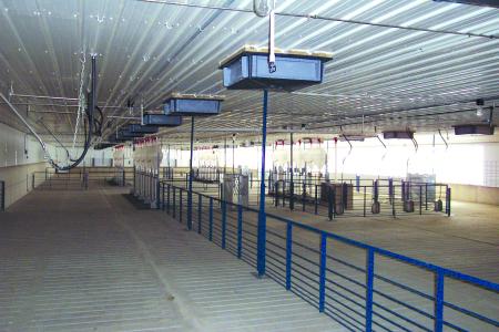 Interior View of an EPS Hog Building System