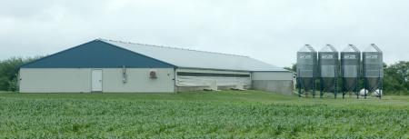 Hog Building
