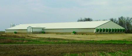 PWA Chicken Layer Facility