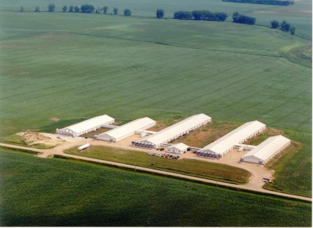 Aerial View of Hog Buildings