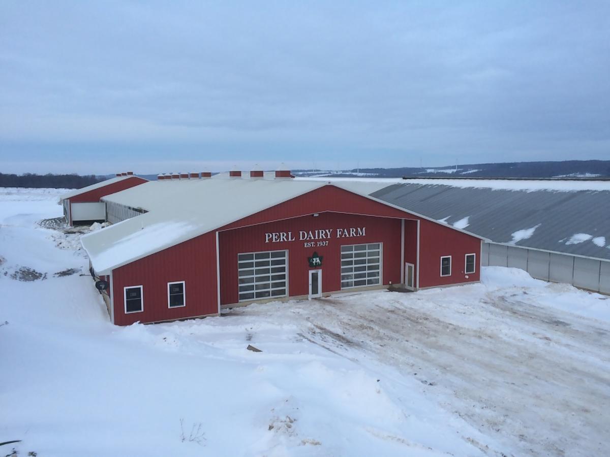 Perl dairy