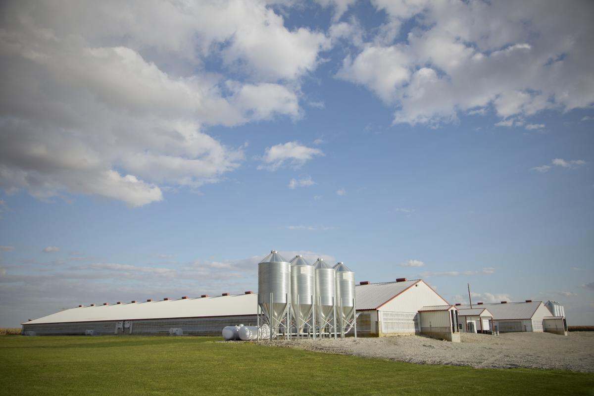 Hog Building