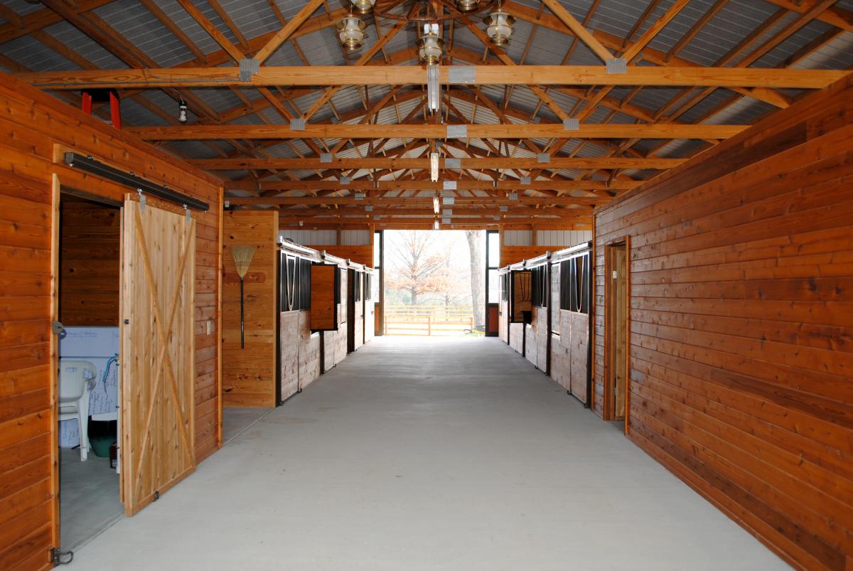Peace Horse Ranch