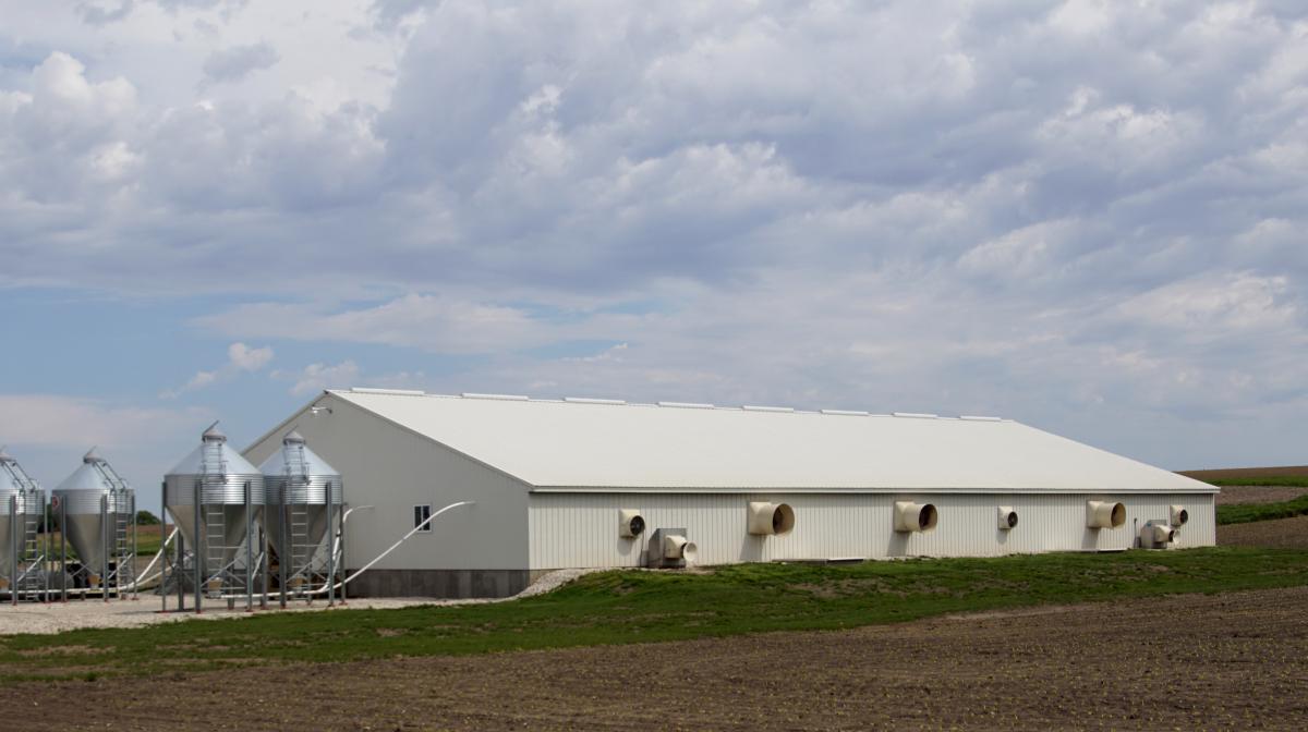 May City Hog Building