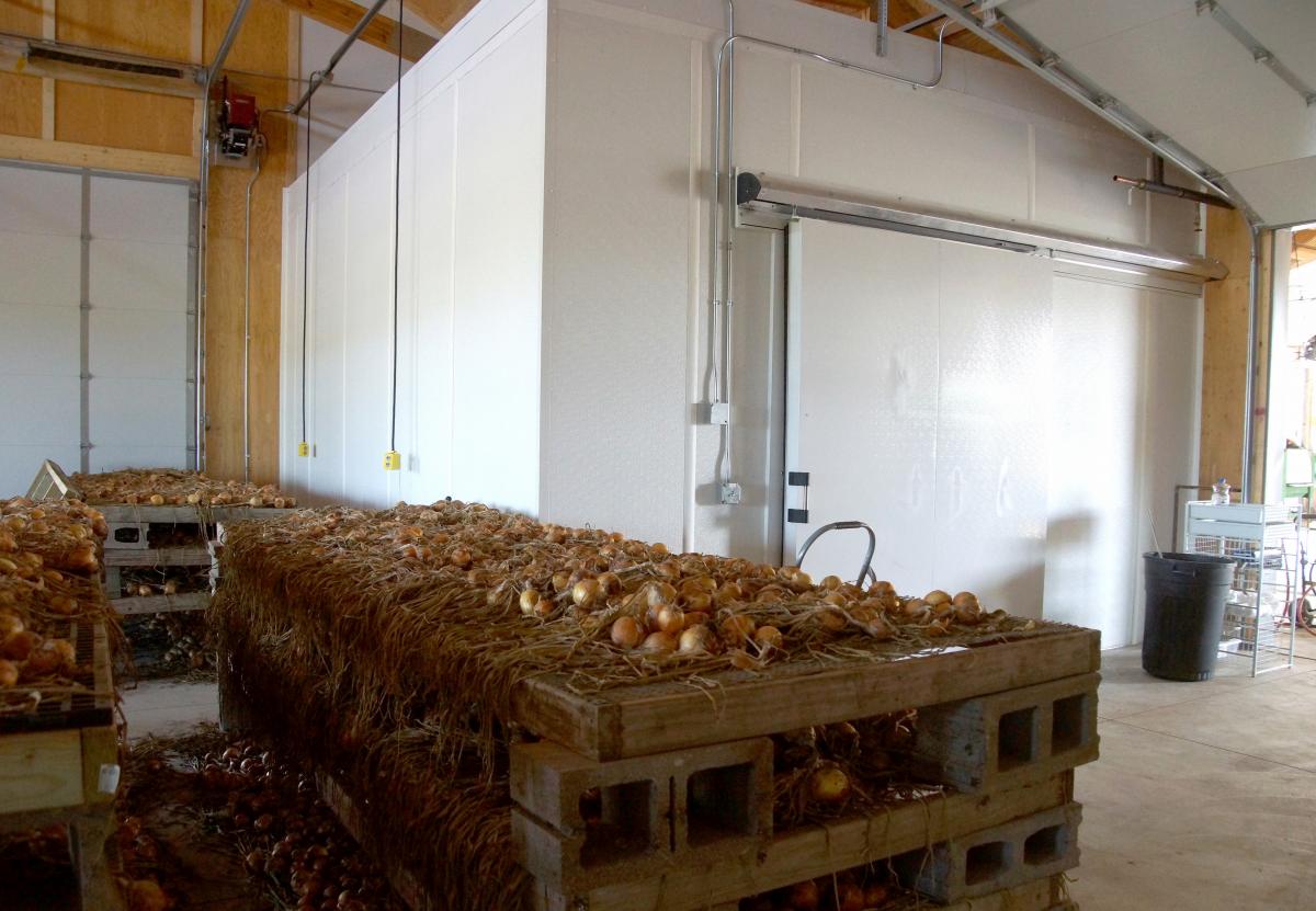 Seeds Farm