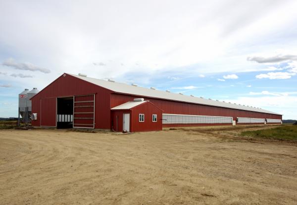 Northfield Turkey Barn