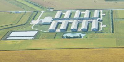 EPS Offers Naturally Ventilated Turkey Finishers