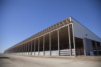 Solutions for Your Cattle Operation