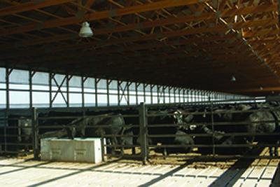 Advantages of EPS Mono-slope Design