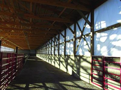 Barn Options