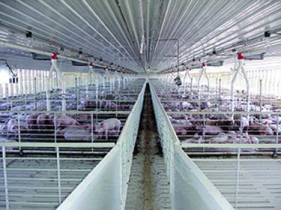 Exclusively Manufactured Products by EPS