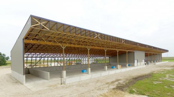 Cattle Barns
